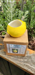 Handmade Hanging Bird Feeder Pod