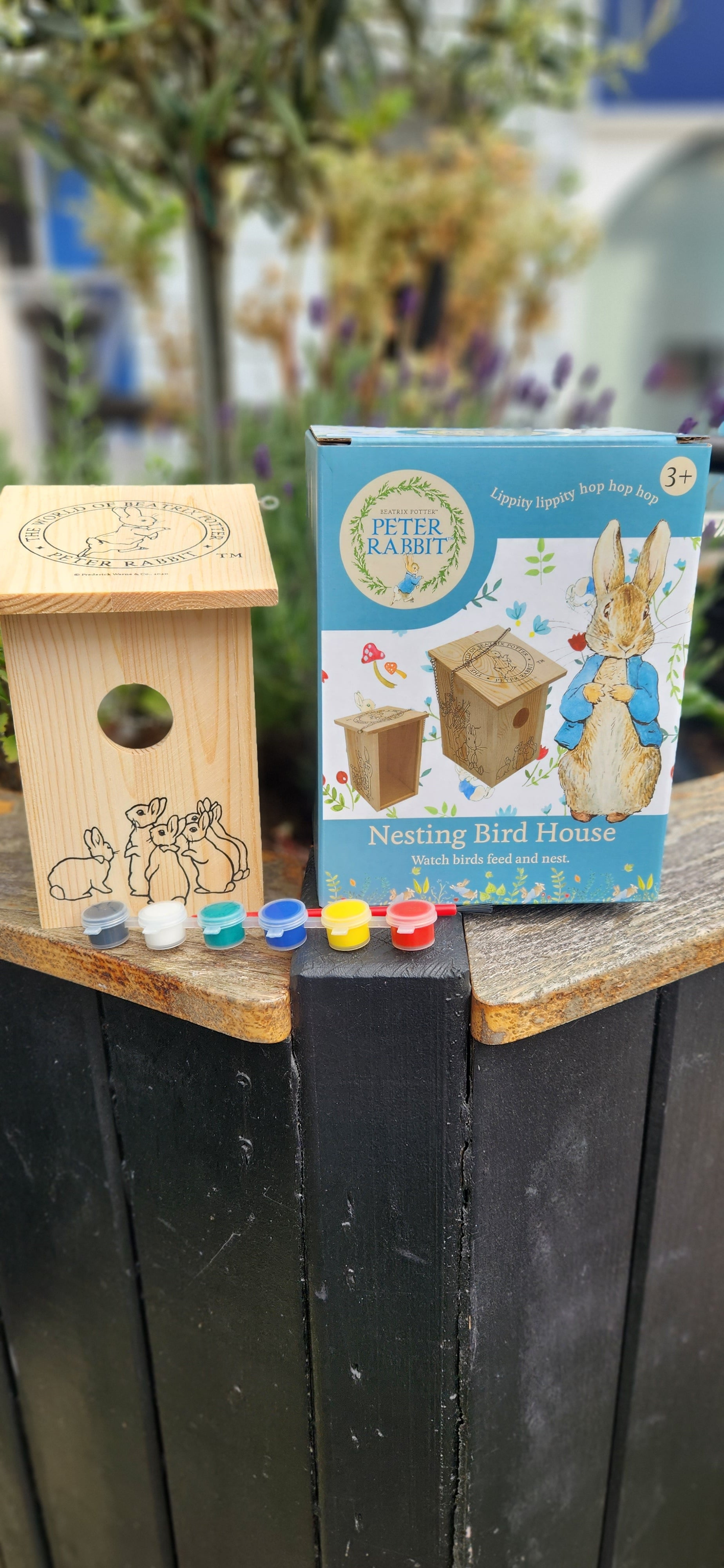 Peter Rabbit Nesting Bird House Paint Kit