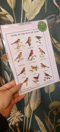 British Birds Seed Card