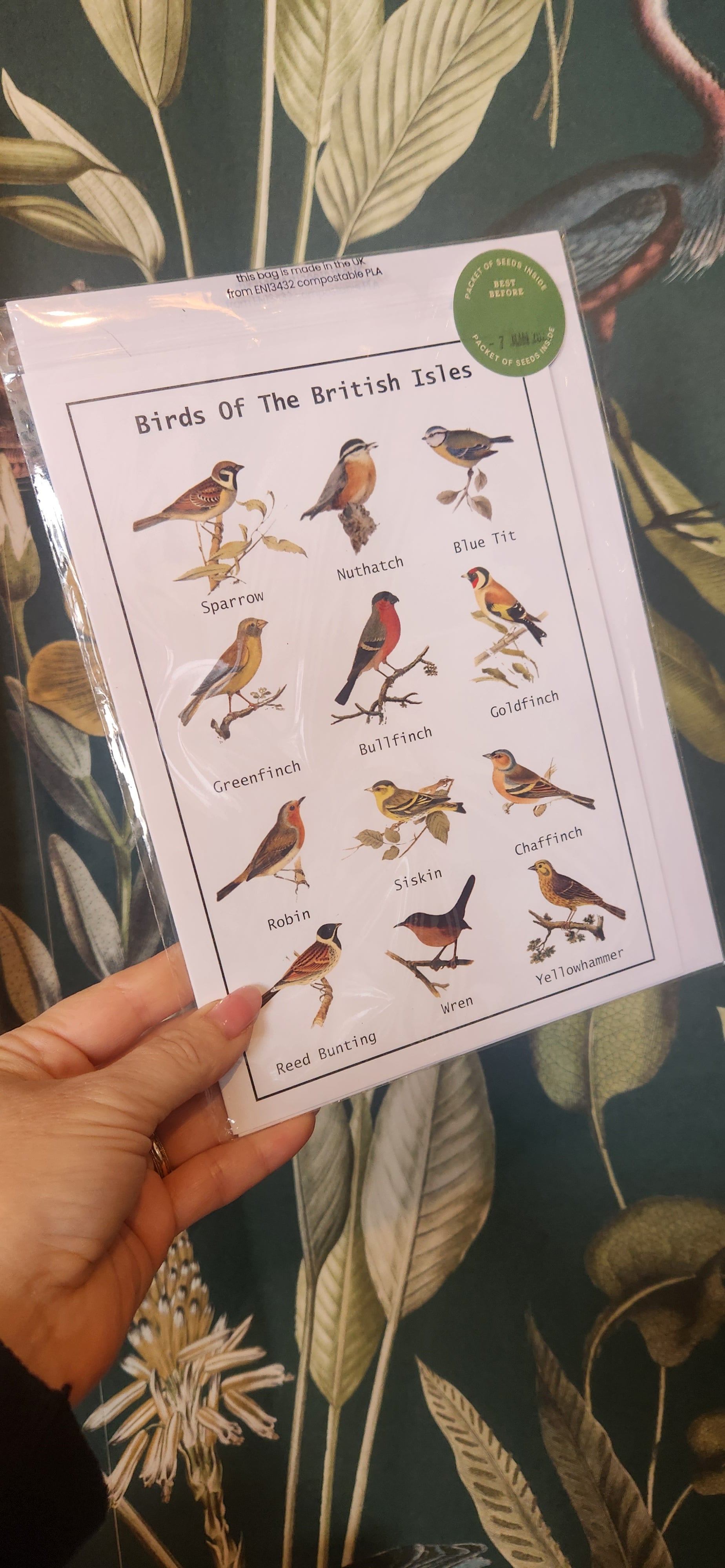 British Birds Seed Card