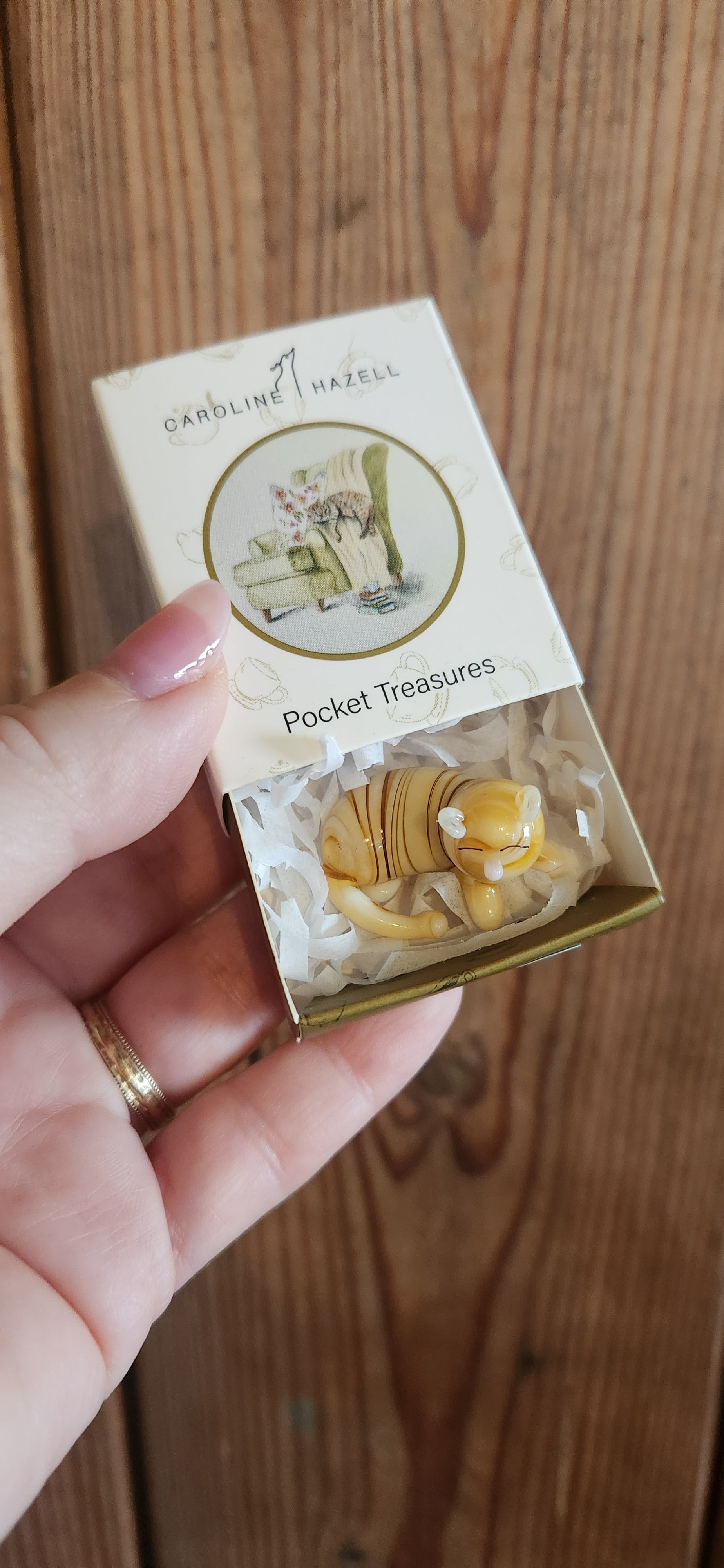 Pocket Treasure Sleepy Cat