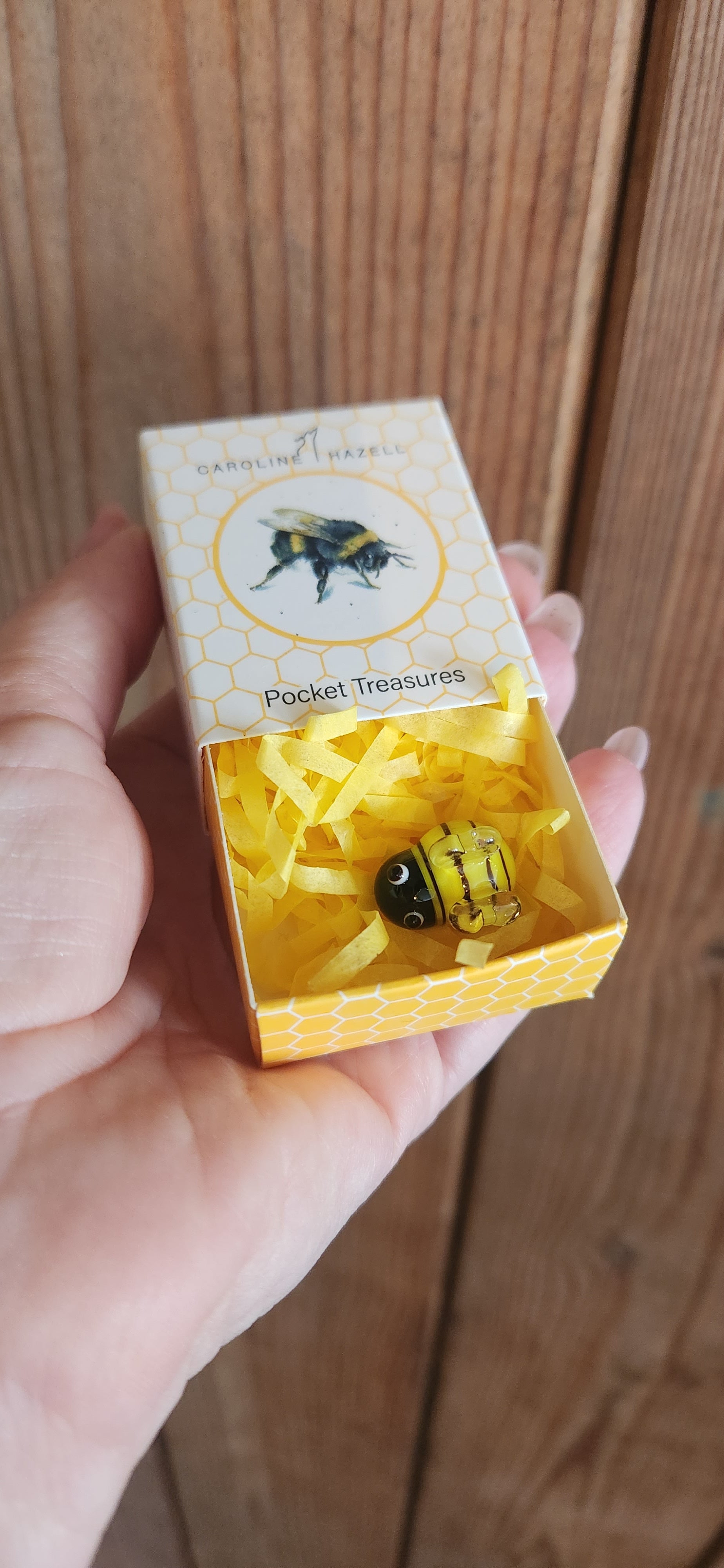 Pocket Treasure Bumblebee