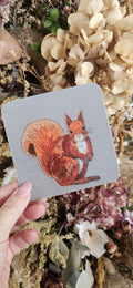 Lellibelle Wildlife Coasters