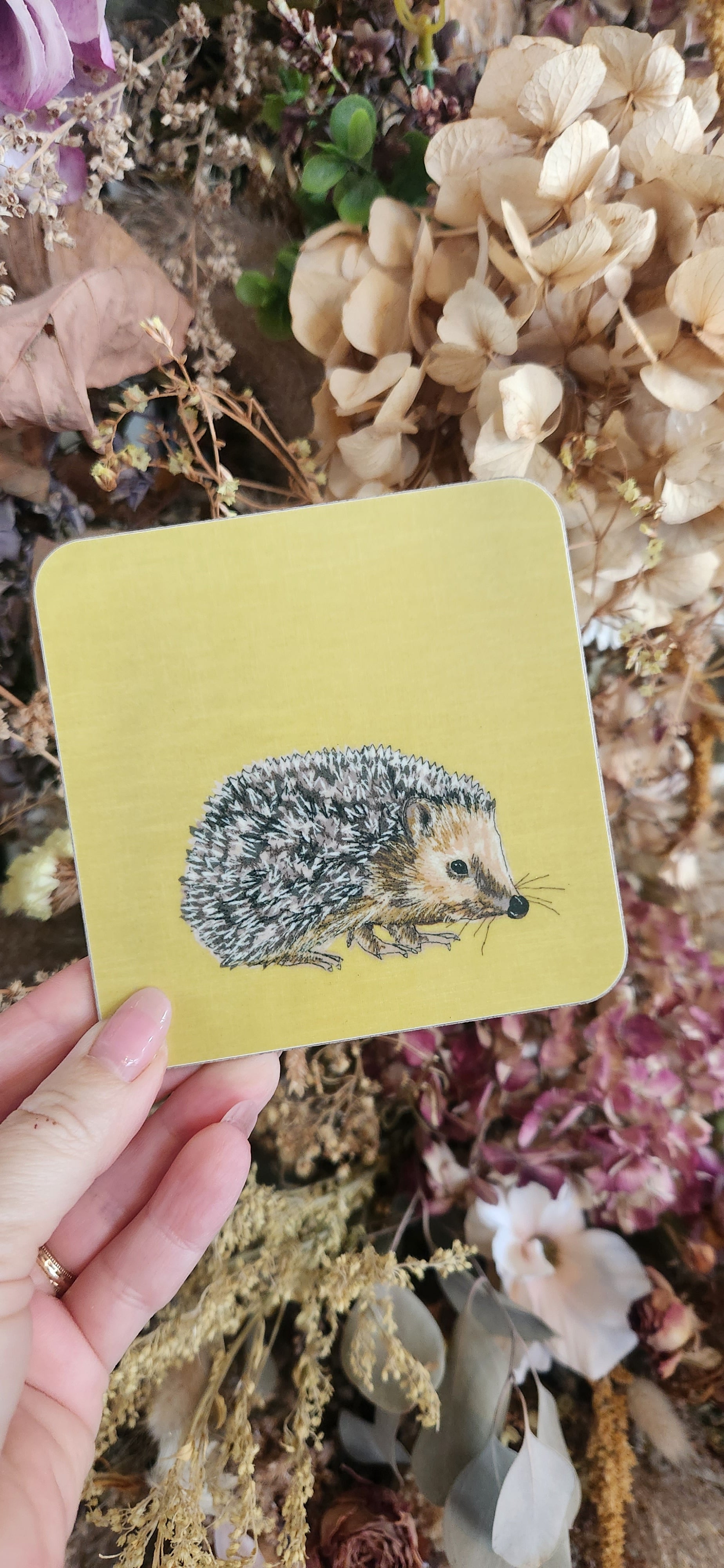 Lellibelle Wildlife Coasters