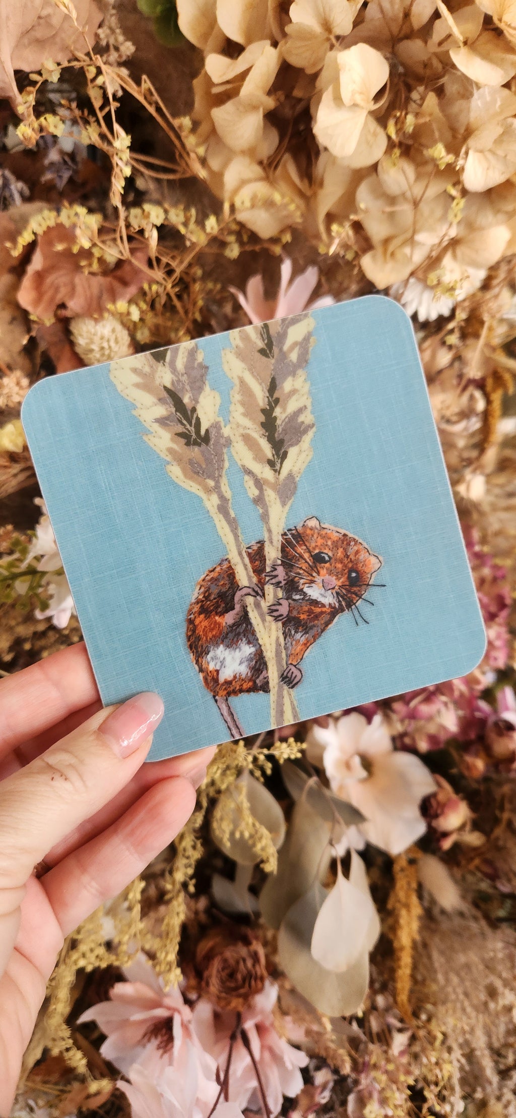 Lellibelle Wildlife Coasters