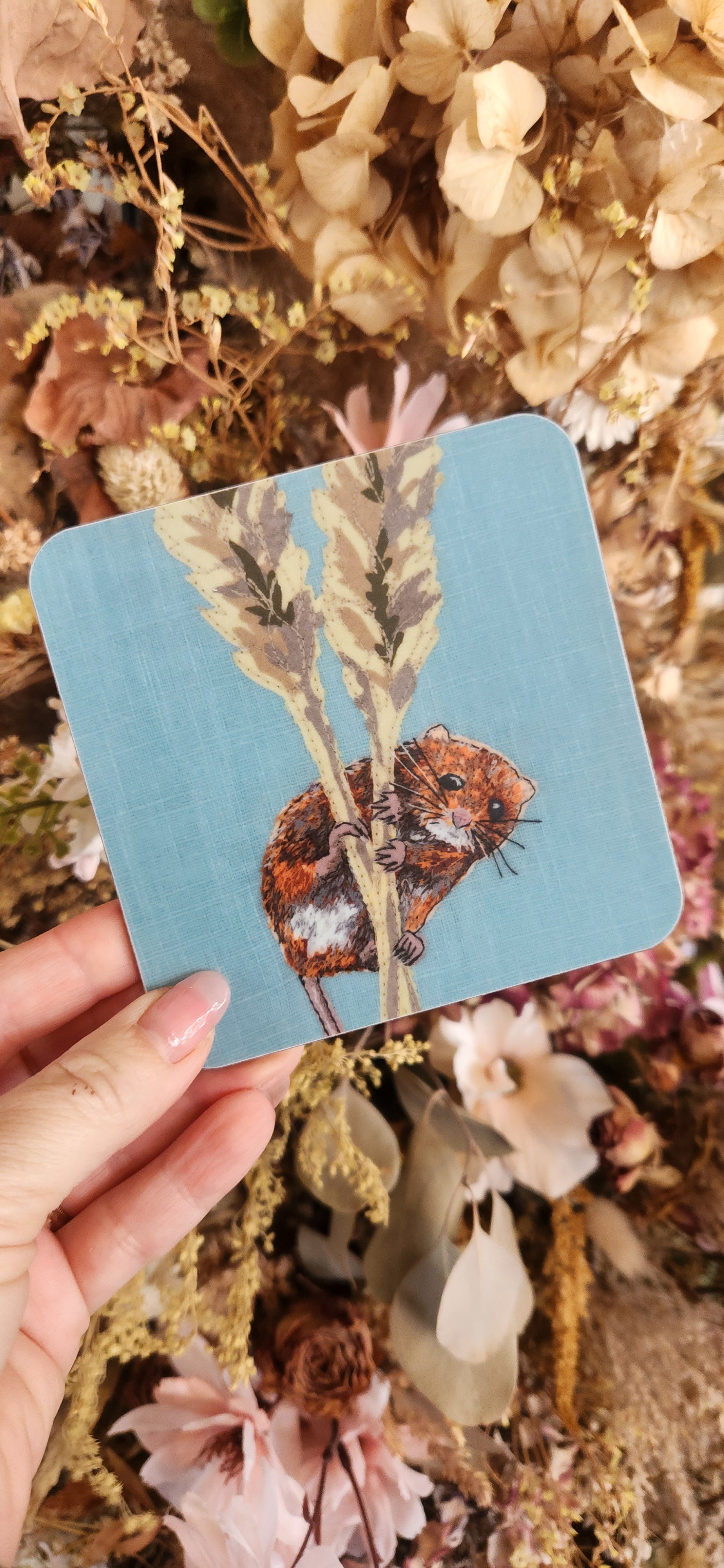 Lellibelle Wildlife Coasters