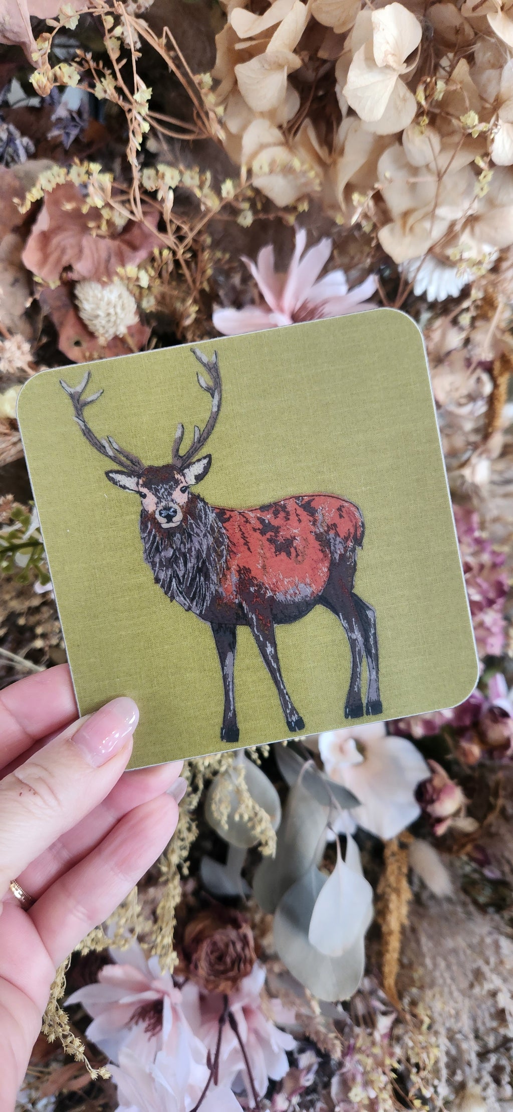 Lellibelle Wildlife Coasters