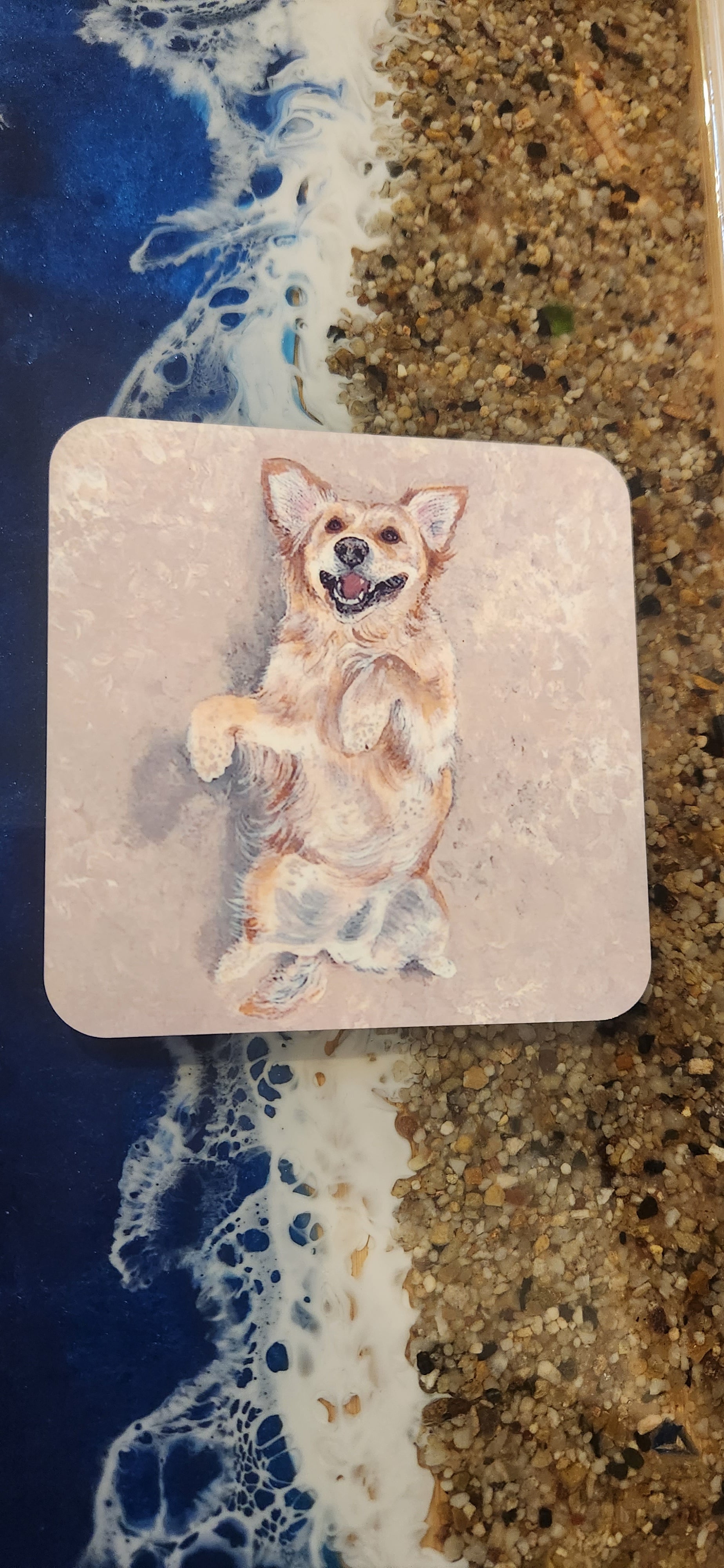 Beach Dogs Coasters